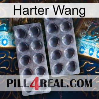 Hard Wang 31